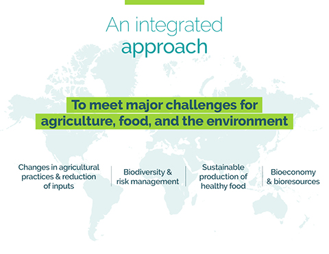 INRAE research themes : changes in agricultural pratices and reduction of inputs, biodivesrity and risk management, sustainable production of healthy food, bioeconomy and bioresources